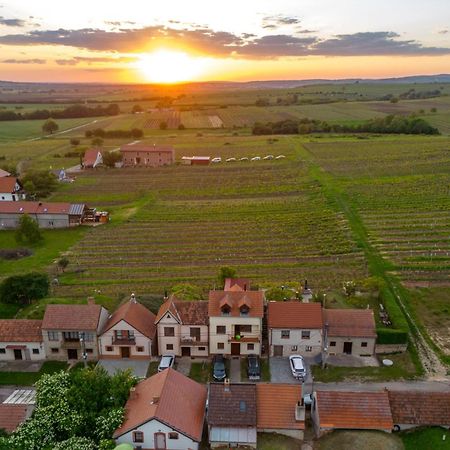 Vinný Sklep Monty Velké Bílovice Exterior foto